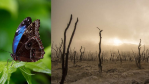 extincion de especies