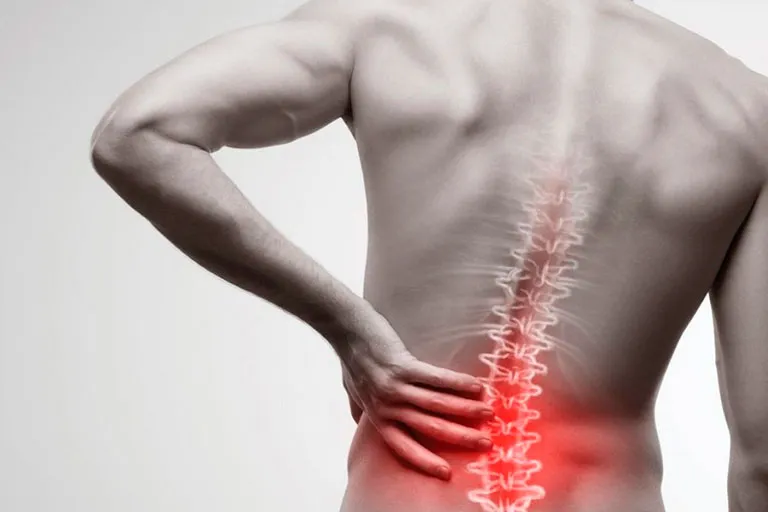 Centro de la Columna Vertebral