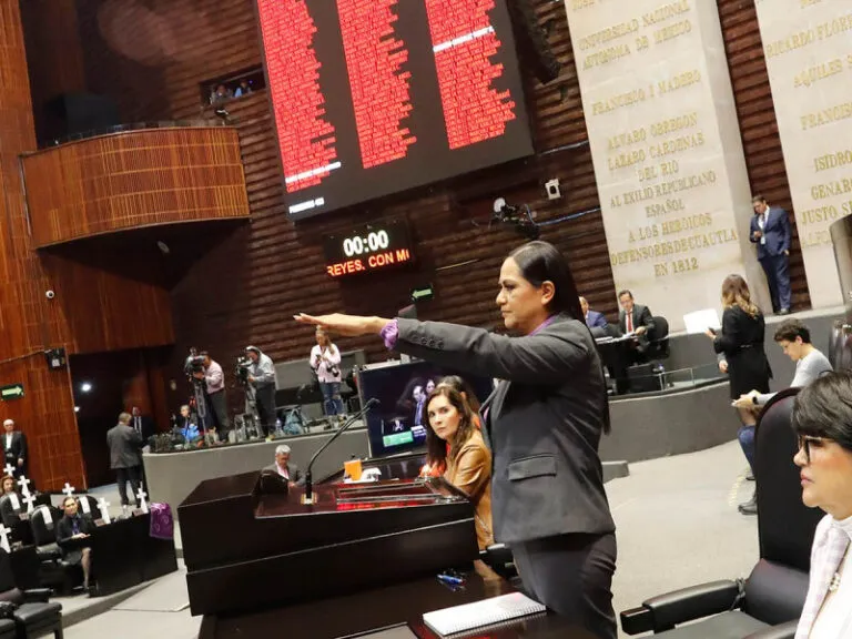 Ariadna Montiel en comparecencia