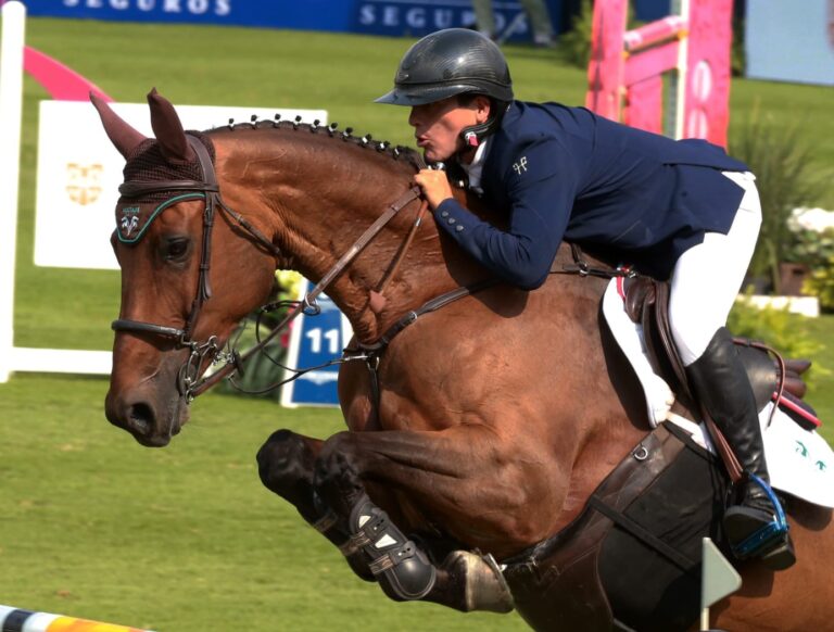 federación ecuestre