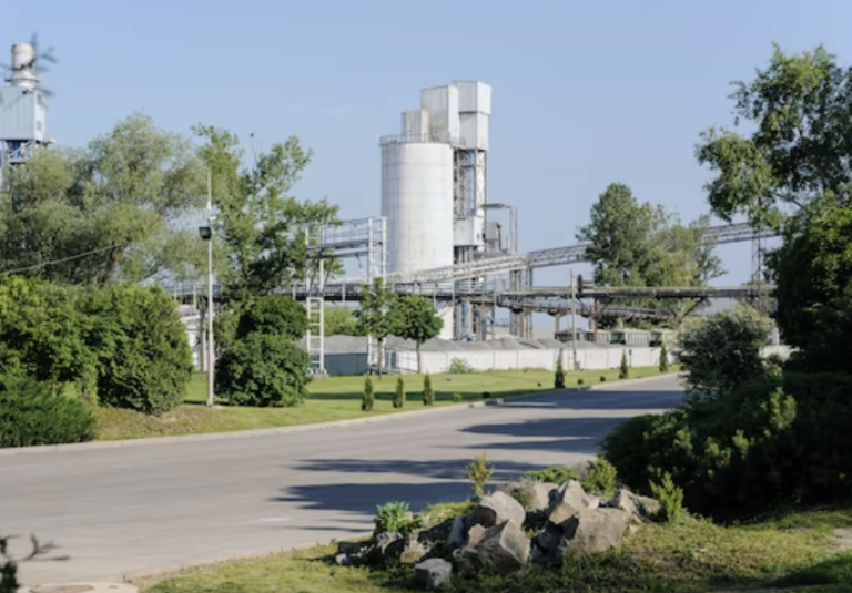 Hassan Mansur González afirma que en el país ya se realizan esfuerzos por adoptar el enfoque de "economía verde".