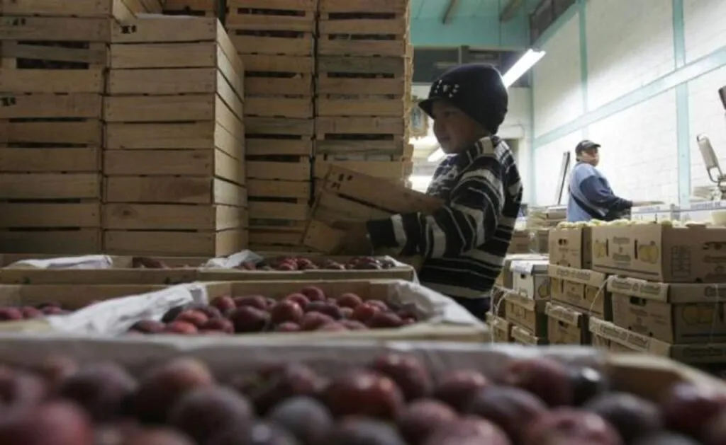 Niños que trabajan en mercados.