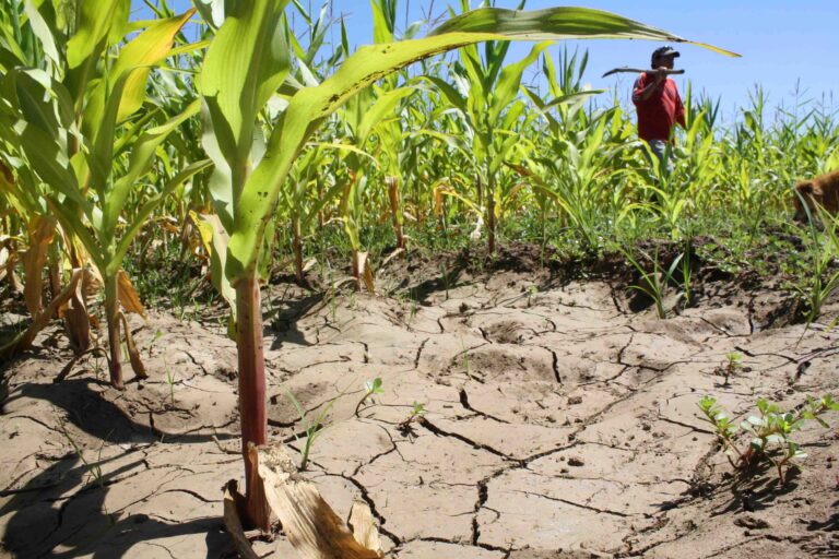 cambio climático