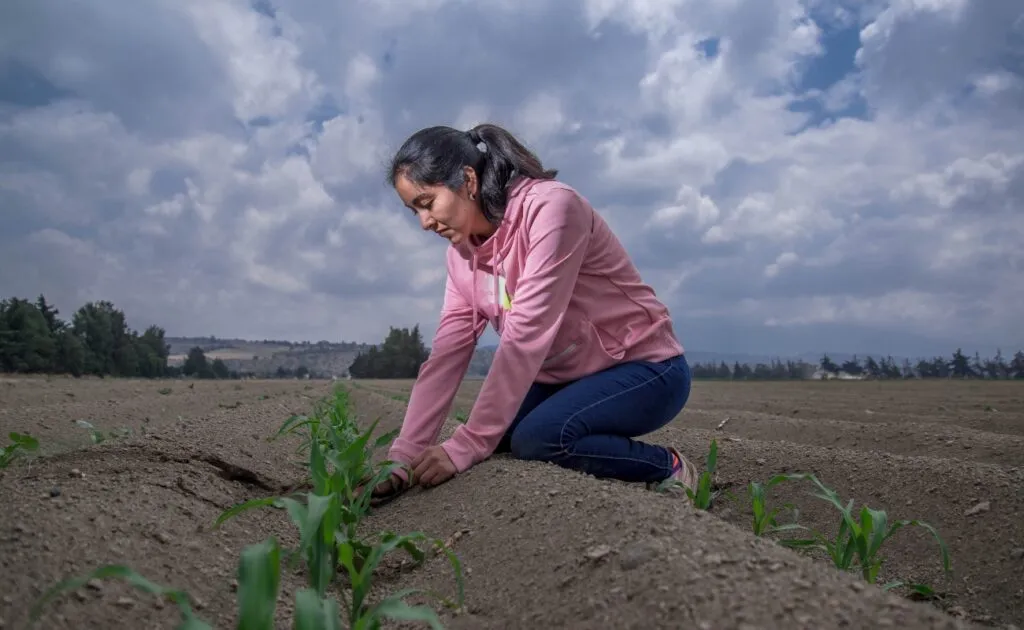 Esposas de productores fallecidos por Covid serán titulares de PpB