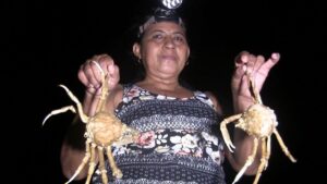 Mujeres pescadoras