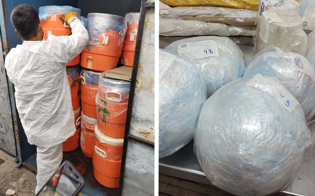 Aprueban reformas en materia de precursores químicos