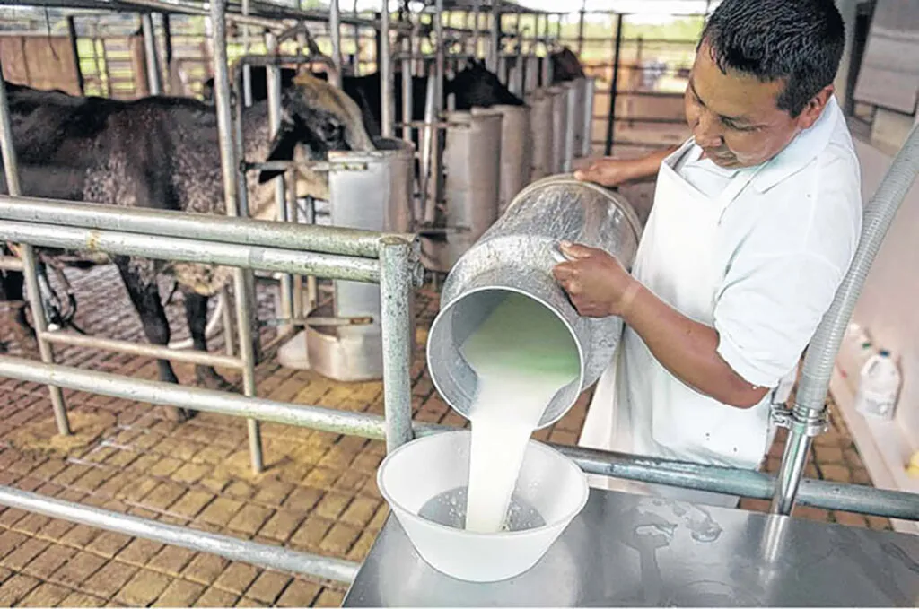 Apoyan a ganaderos lecheros con capacitación