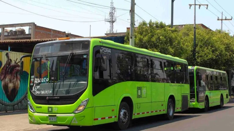 RTP e Imcine lanzan hoy la campaña “Cine a bordo”