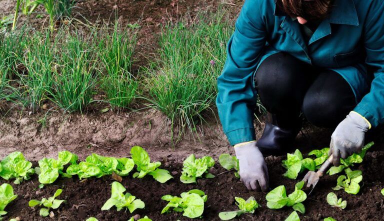 ⁠Blockchain, como alternativa para desafíos en agricultura: Luis Doporto Alejandre