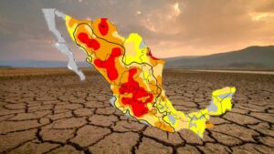 2024 será el año más cálido del que se tenga registro: ONU