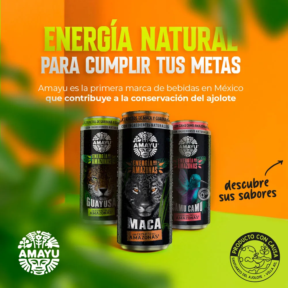 Ajolote del Altiplano recibe apoyo de Bio Amayu