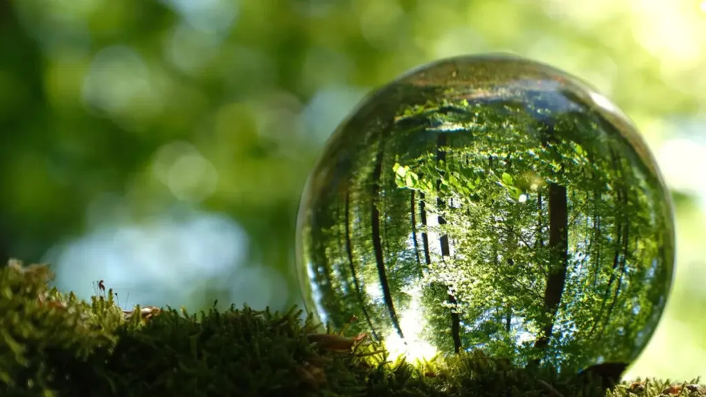 Anuncian 4to Congreso sobre Agua, Suelo y y Agrobiodiversidad en CDMX