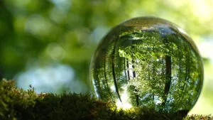 Anuncian 4to Congreso sobre Agua, Suelo y y Agrobiodiversidad en CDMX