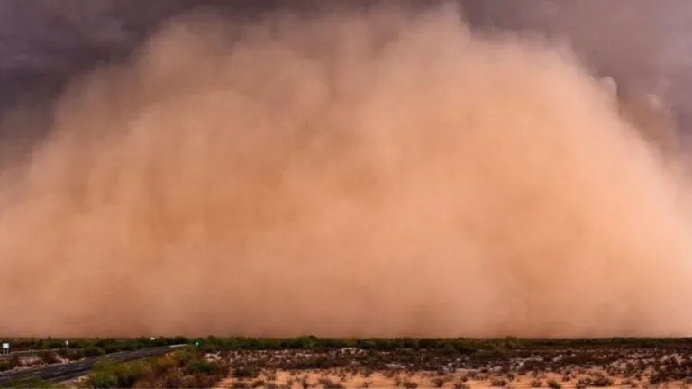 Anuncian fecha de la llegada del polvo del Sahara a México